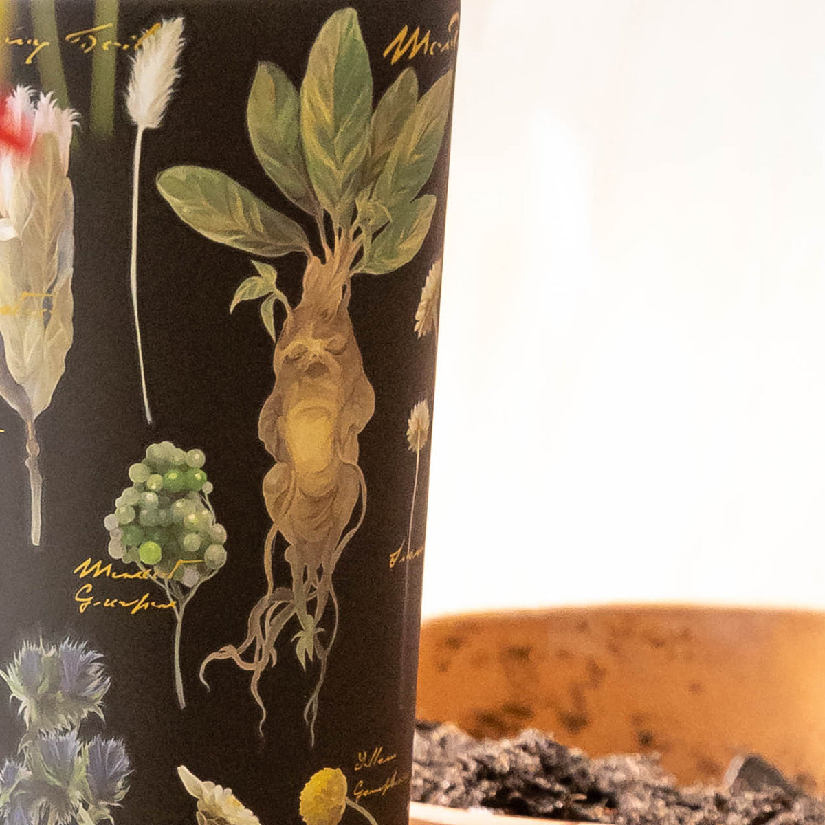 Harry Potter Cold Cup - Versatile Beverage Y1
