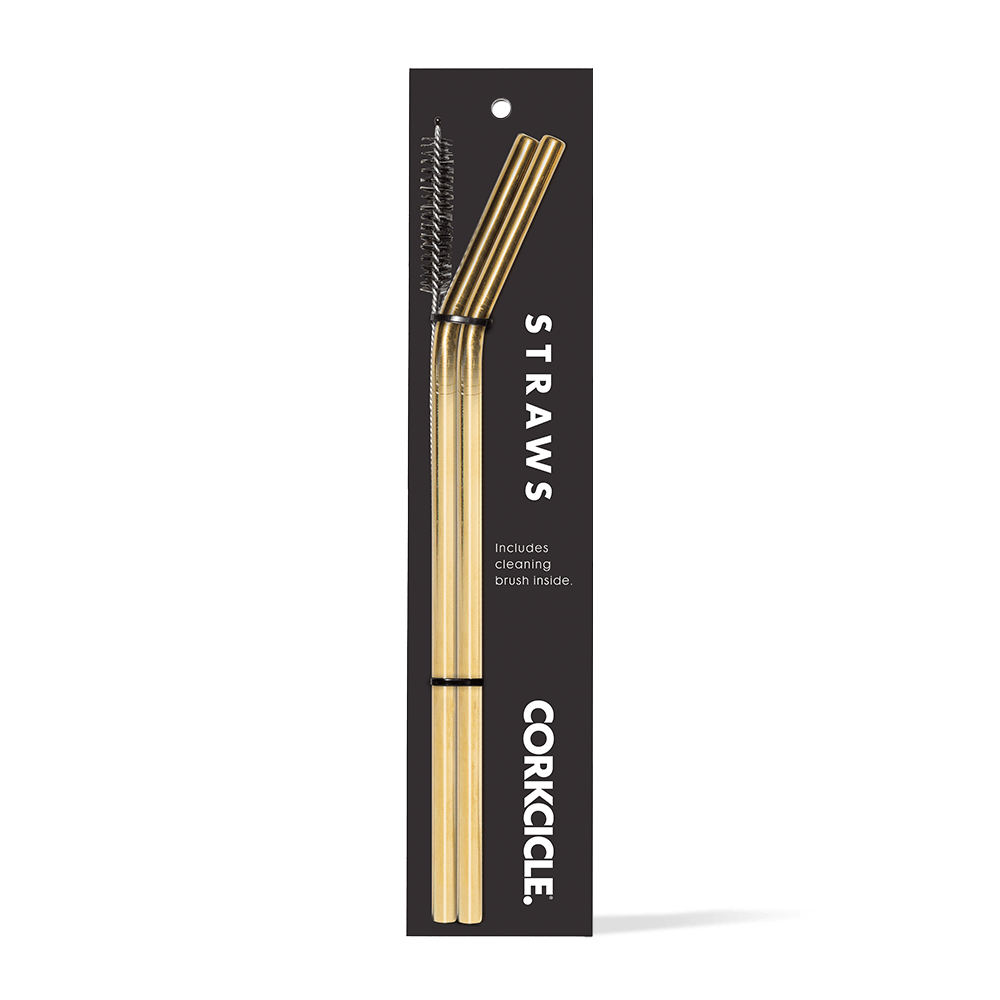 Tumbler Straw 2-Pack - Fresh Choice A5